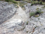 Wagon Ruts in Guernsey, Wyoming