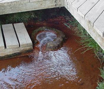 Photograph Courtesy of  the Oregon-California Trails Association 