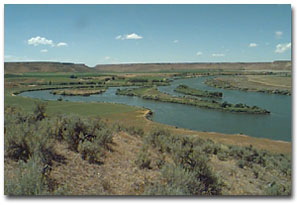  Photograph courtesy of Idaho History Society 