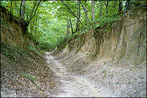Village Creek State Park, Arkansas